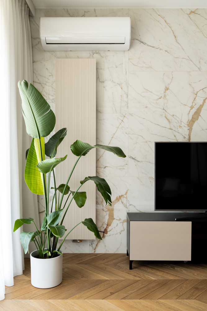 Decorative,Houseplant,Next,To,Tv,In,Elegant,Room,With,Marble